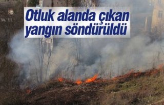 Otluk alanda çıkan yangın söndürüldü