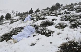PÖH'ler Doğu Karadeniz'in karla kaplı dağlarında...