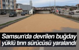 Samsun'da devrilen buğday yüklü tırın sürücüsü...