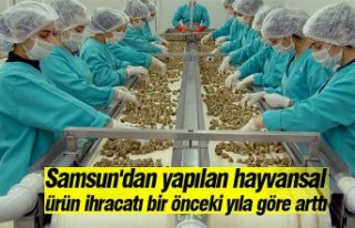 Samsun'dan yapılan hayvansal ürün ihracatı...