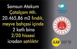 SAMSUN İCRA DAİRESİ