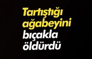 Tartıştığı ağabeyini bıçakla öldürdü
