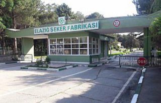 Türkşeker Susurluk ve Elazığ fabrikaları şeker...