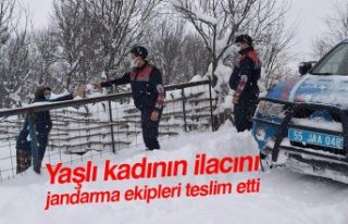 Yaşlı kadının ilacını jandarma ekipleri teslim...