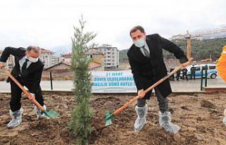 Amasya'da Orman Haftası nedeniyle fidanlar toprakla...