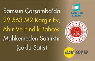 ÇARŞAMBA SULH HUKUK MAHKEMESİ SATIŞ MEMURLUĞU