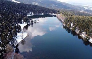 Gölcük Tabiat Parkı'nda açan çiçekler güzel...