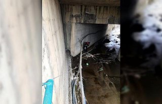 Karabük'te köprüden dereye düşen köpek yavrularını...