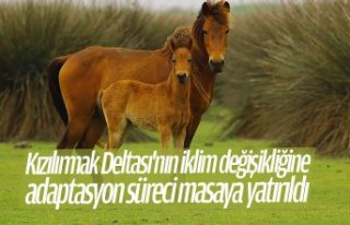 Kızılırmak Deltası'nın iklim değişikliğine...