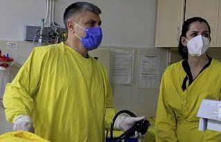 KTÜ'de erken mide ve bağırsak kanserlerinde endoskopik...