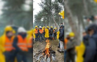 Orman personeline iş sağlığı ve standardizasyon...