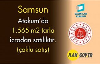 Samsun Atakum'da 1.565 m2 tarla icradan satılıktır...