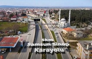 Samsun Sinop Karayolu Ağaçlandırma Çalışmaları
