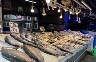 Trabzon'da taze hamsinin kilogramı 20-30 liradan...