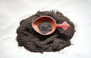 Türk çayı ihracatı 2021'in iki ayında 3,1 milyon...