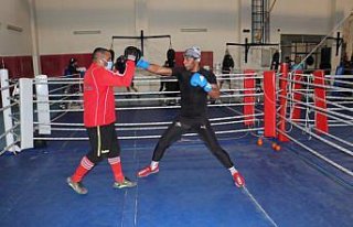 Azerbaycan Boks Milli Takımı, Türkiye ile olimpiyat...