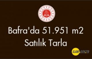 Bafra'da 51.951 m2 Satılık tarla