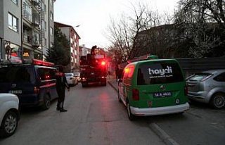 Bolu'da definecilerin kazdığı çukura düşen köpek...