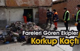 Evden 4 kamyon çöp çıktı