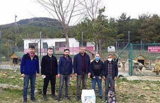 Gerede'den kısa kısa