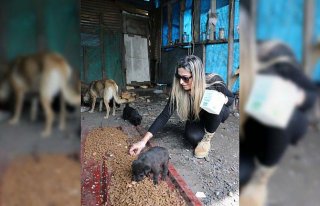 Hayvansever iki arkadaş 