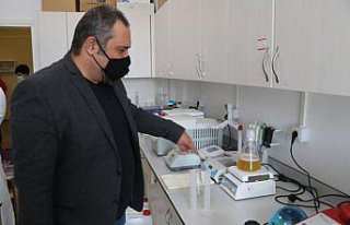 Iza buğdayının kökündeki bakteriden üretilen...