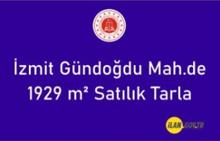 İzmit Gündoğdu Mah.de 1929 m² tarla satılıktır