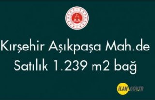 Kırşehir Aşıkpaşa Mah.de 1.239 m² bağ satılıktır