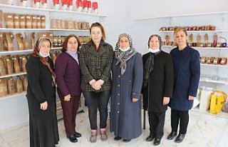 Mudurnulu kadınlar, kooperatif çatısı altında...