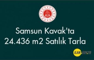 Samsun Kavak'ta 24.436 m2 Satılık Tarla