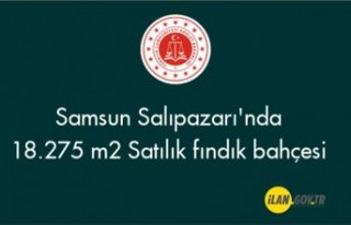Samsun Salıpazarı'nda 18.275 m2 Satılık fındık...