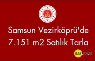 Samsun Vezirköprü'de 7.151 m2 tarla satılık