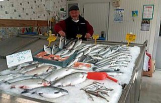 Sinop'ta tezgahlarda av balıklarının yerini havuz...