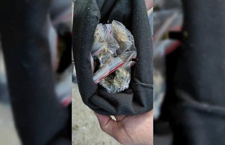 Sinop'ta uyuşturucu operasyonu: 2 gözaltı