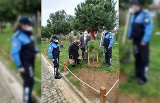 Trabzon'da karekod uygulamalı şehit fidanlığı...