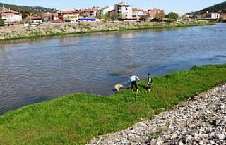 Yeşilırmak Nehri'nde mahsur kalan köpek itfaiye...