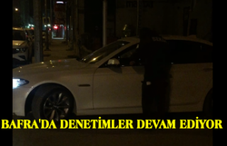 BAFRA'DA DENETİMLER DEVAM EDİYOR