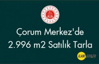 Çorum Merkez'de 2.996 m² Satılık tarla