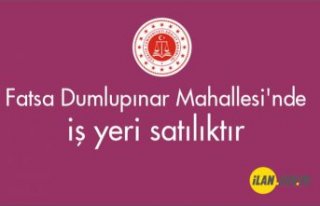 Fatsa Dumlupınar Mahallesi'nde iş yeri satılıktır
