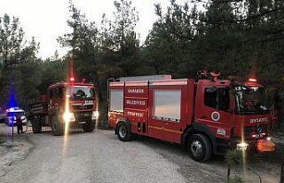 Karabük'te çıkan orman yangını söndürüldü