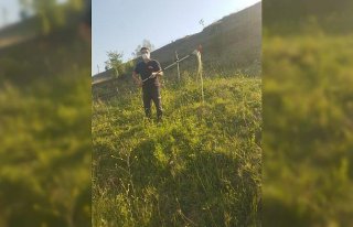 Karabük'te eve giren yılanı itfaiye yakaladı