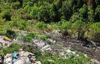 Kastamonu'da çöplükte çıkan ve ormana sıçrayan...