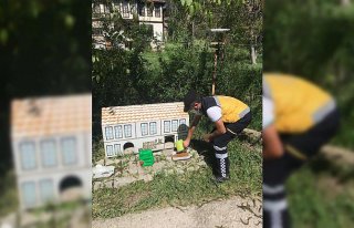 Kastamonu'da tam kapanma döneminde sokak hayvanları...