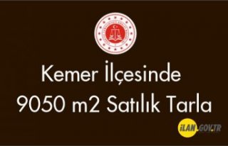 Kemer İlçesin'de 9050 m2 Satılık tarla