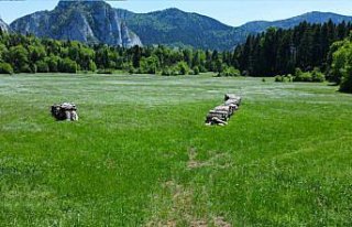Küre Dağları yeşilin farklı tonlarıyla görsel...