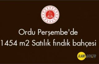Ordu Perşembe'de 1454 m2 fındık bahçesi Satılık