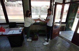 Safranbolu'nun yerli domatesi 