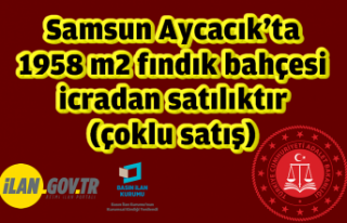 Samsun Aycacık'ta 1958 m2 fındık bahçesi...