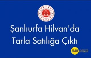 Şanlıurfa Hilvan'da tarla Satılığa Çıktı