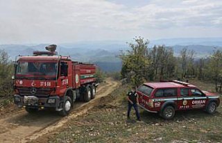Sinop'ta çıkan orman yangını kontrol altına alındı